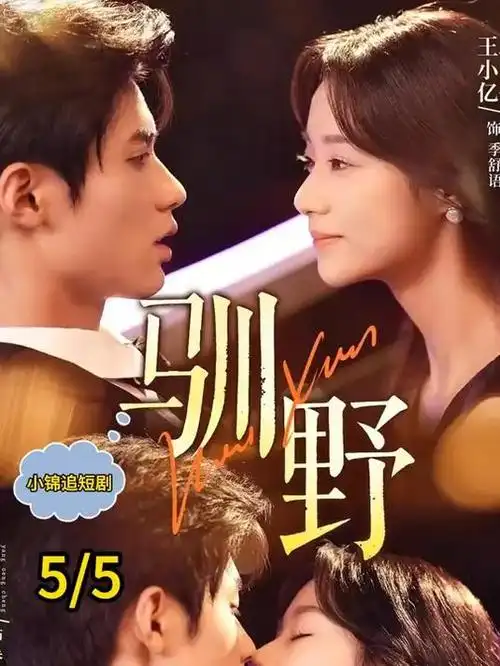 破雾者剧集封面